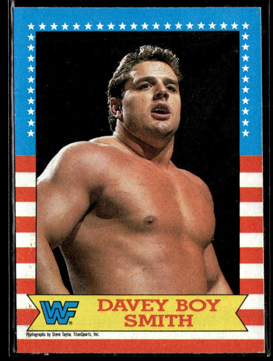 1987 Topps WWF #19 Davey Boy Smith 1351